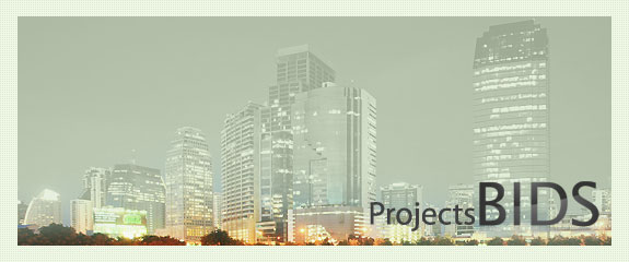 projects BIDS